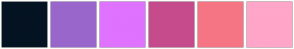Color Scheme with #041322 #9966CC #DF73FF #C54B8C #F57584 #FFA6C9