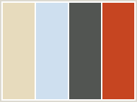 Color Scheme with #E7DBBD #CEDFEF #525552 #C64521