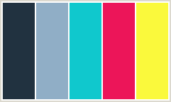 Color Scheme with #213240 #90AEC6 #10C8CD #EC1559 #FAF93C