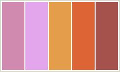 Color Scheme with #D08AAF #E3A6EC #E49D4B #DD6435 #A5524C