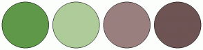 Color Scheme with #5F9849 #AECC99 #9A7F7F #6F5454